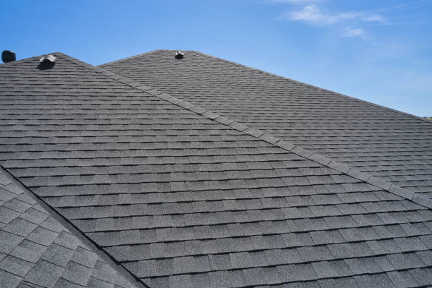 Best Roof Leak Repair  in St Martins, MO